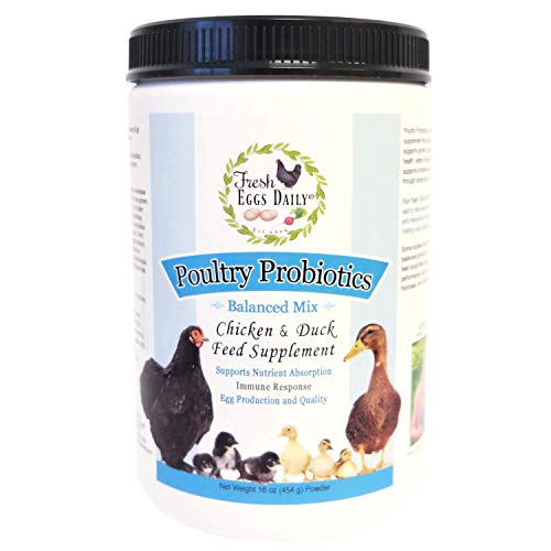 Fresh Eggs Daily Poultry Probiotics Chicken and Duck Feed Supplement 1LB