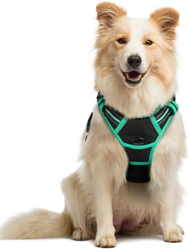 rabbitgoo Hundegeschirr Mittelgroße Hunde Anti Zug, M, Schwarz & Mintgrün | No Pull & Individuell Anpassbar, Atmungsaktiv Gepolstert, 2 D-Ringe, Schnellverschlüsse, Reflektierend f