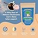 Lion's Mane Extract Powder by Malama, Organic Fruiting Body Lions Mane Mushroom Powder, Superfood Adaptogenic, Supports Memory, Focus, Brain, & Nerves