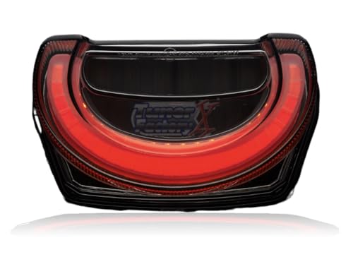 Generic FOR HONDA FIT CB1000R Left and Right Turns 2018 2019 2020 2021 2022 2023 2024 LED POWERGRID TAILLIGHT SMOKE e-approved REAR Waterproof, 000030137S