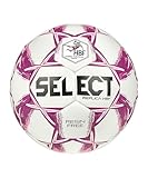 Select Replica HBL V25 Trainingsball grau, 1 Ohne Geschlecht