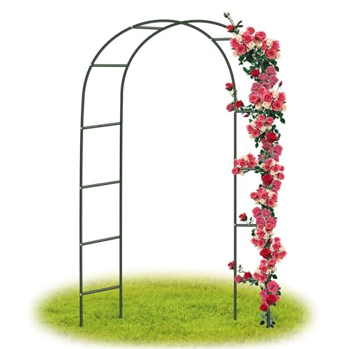 Arche de jardin pour plantes grimpantes et support de fleurs résistant pour pelouse et patio