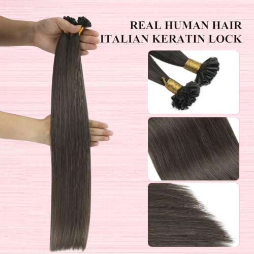 Image of YoungSee U Tips Hair Extensions Real Human Hair Mocha Brown Utip Hair Extensions Human Hair Ash Brown Keratin Hair Extension Human Hair 14 Inch Fusion Ktips Hair Extension 50g 50 Strands