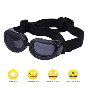 Namsan-Dog-Goggles-Small-Breed-Doggy-UV-Sunglasses-Windproof-Snowproof-Puppy-Glasses-for-Eyes-Protection-Black - Cucciolini Doodles Namsan-Dog-Goggles-Small-Breed-Doggy-UV-Sunglasses-Windproof-Snowproof-Puppy-Glasses-for-Eyes-Protection-Black