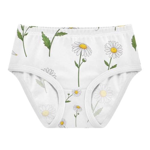 Toddler Girl Briefs, White Daisies Flowers Girls Cotton Underwear, 2–8 Years