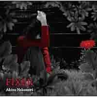 中森明菜 ひらり/FIXER ポスター Amazon.co.jp: 中森明菜「ひらりFIXER」 ポスター : おもちゃ
