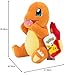 Pokemon Charmander 20 Imagen de Pokemon Charmander 20