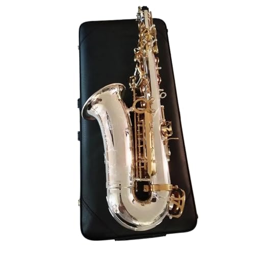 vtFbVi Ag TbNX S[h L[ TbNX P[Xt [h }EXs[X vtFbVTbNX