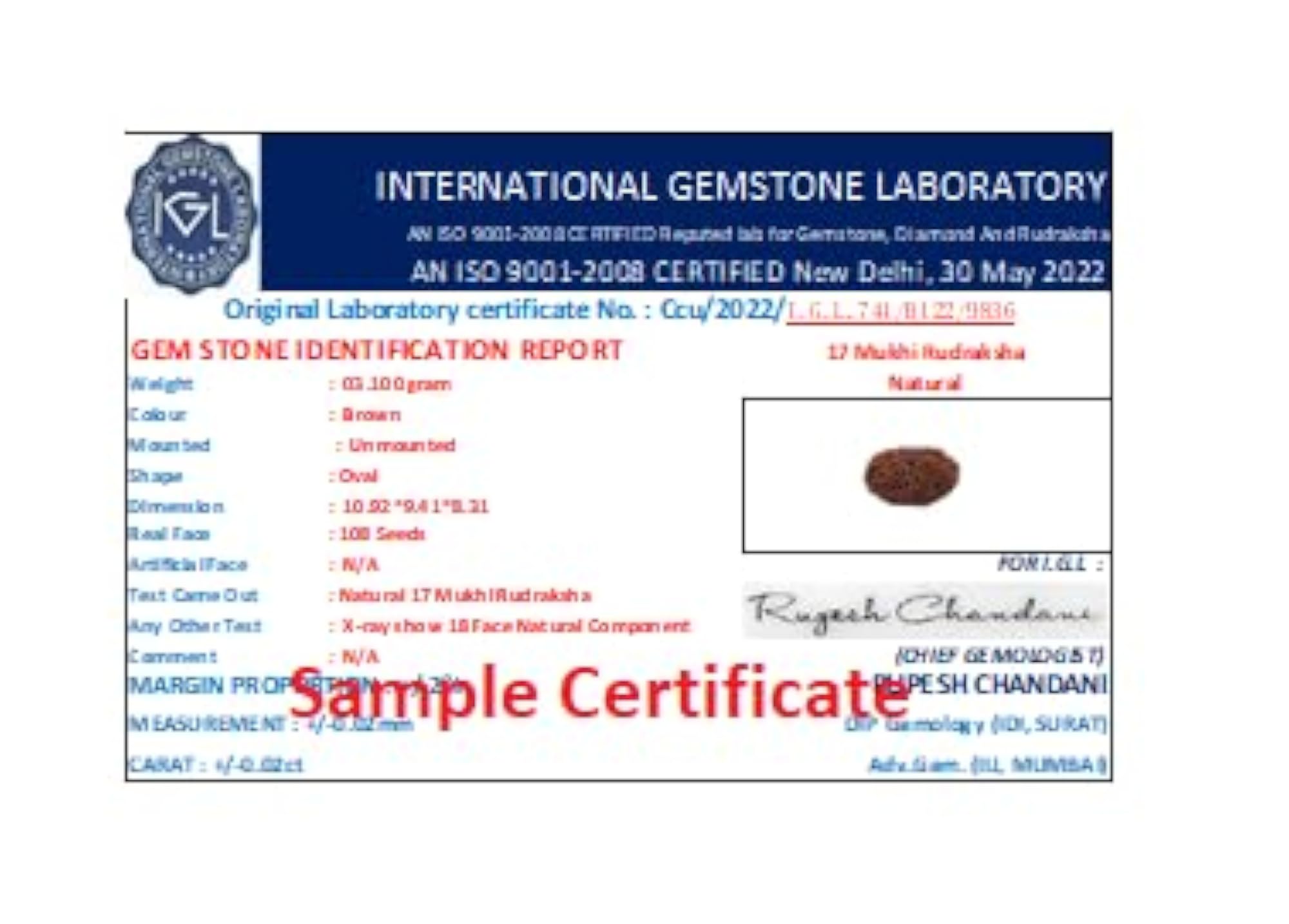 Seventeen Face Rudraksha Bead, Original Certified