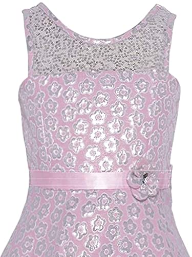 Bonnie Jean Big Girls Illusion Floral Brocade Fit Flare Dress - Special Occasion Social Party Wedding Flower Girl Easter Holiday, Illusion Floral Brocade/Pink Silver, 124