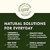 Swanson Maximum Strength AHCC Mushroom Extract Immune Support Supplement for Adults Seeking Natural Immune Defense - 500 mg (60 Vegan Capsules, 3 Pack)
