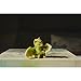 Top Collection Rex The Green Dragon - Mini Collectible Fantasy Figurine (Live to Fight Another Day)