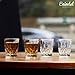 Enindel 3021.01 Carved Patterns Shot Glasses, 1.7 OZ, Set of 6, Clear, JY001