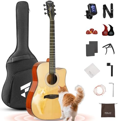 Fesley X Acoustic Guitar Kit, 41 Inch Full Size 6 String Cutaway ...