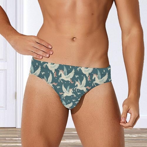 Flying Horse Novelty Men's Brief Swimwear Pants Swimming Trunks Beach Shorts Underwear4