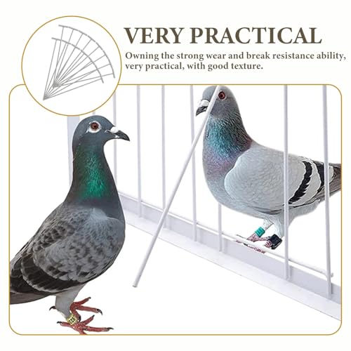 CLISPEED gbvo[ P[Wp_ 25Zbg P[WpSbh hAi