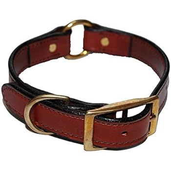 leather center ring dog collar