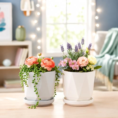 Image of Xtore Refined Geometric Ceramic Planter Set of 2 with Saucers for Home & Office Decor | Faceted Indoor Flower Pots for Succulents, Herbs, Cacti, Living Room, Bedroom (Off-White, Light Grey)
