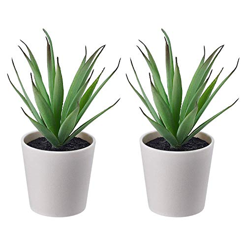 Ikea 2 Mini Plantas suculentas Artificiales de Escritorio en macetas de 6 cm, Juego de 2, Color Blanco