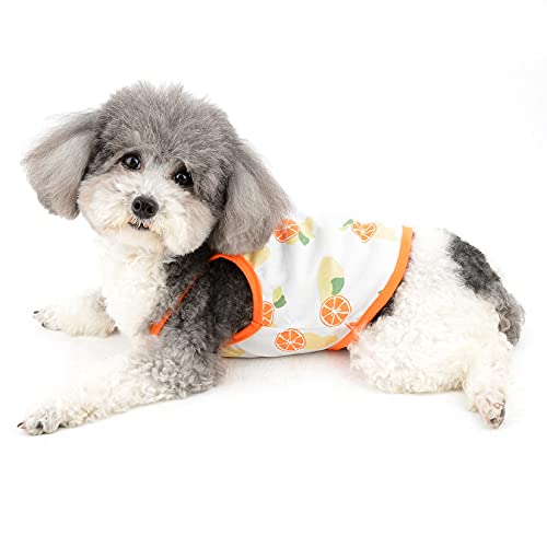 Débardeur doux imprimé pour petit chien en coton premium - 3