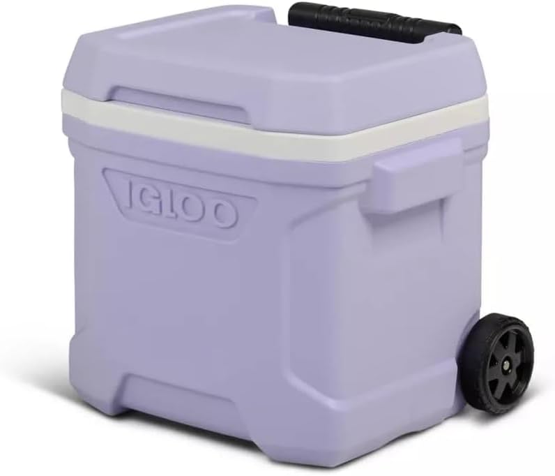 Igloos Cooler Hard-Sided Ice Chest, Insulated Portable Cooler, Heavy-Duty, Leak-Resistant Lid, Lightweight Ergonomic Handle (Lilac, 16 Quart)