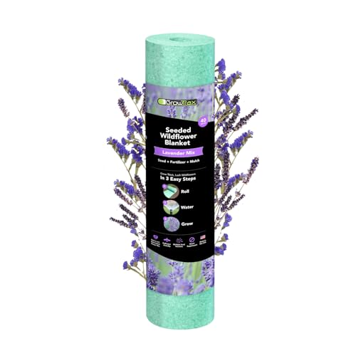 Growtrax Lavender Roll 40 SQ FT English Lavender Seeds for Outdoor Planting Easy Drought-Tolerant Pollinator-Friendly Wildflowers for Garden Borders & Walkways