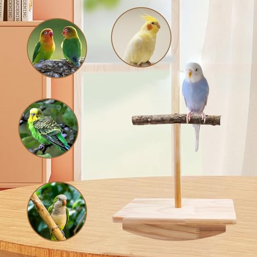 Image of Bird Perch Rocking Toy, Natural Wood Parrot Tumbler Toy, Bird Perch Stand & Chewing Toys, Parakeet Paw Grinding Stick, Cage Accessories for Small Birds Parakeets Cockatiels Budgies Finches Love Birds