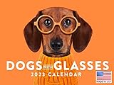 Funny Dog Glasses Calendar 2023 Monthly Wall Hanging Calendars Cute Dogs Breed Animal Puppy Gag Gift...