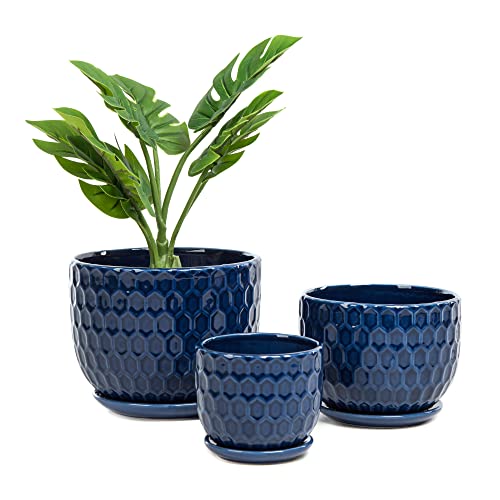 Nattol Macetas de cerámica con Orificio de Drenaje y platillo, macetas Redondas para suculentas de Interior con diseño de Textura Inspirado en Panal, tamaño pequeño a Mediano, Juego de 3, Azul Marino