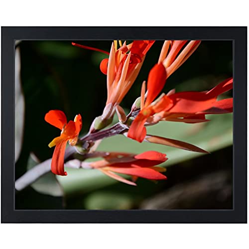 Uzifa 11X14 Picture Frame Photo Frame Picture Frames 11X14 - Wood Non Glass Without Mat For Display Certificate/Photo/Picture For Wall Mount Wooden Frames- W51114G Black #TOP2