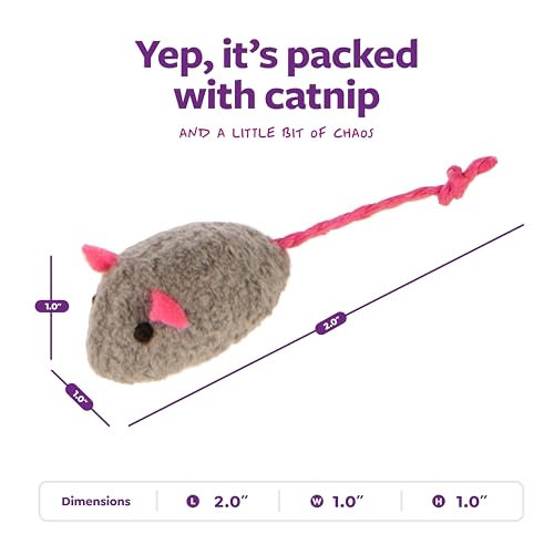 SmartyKat Skitter Critters Value Pack Catnip Cat Toys - Gray/Cream, Set of 10 - Image 4