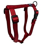 Picture of Hamilton Adjustable Comfort Nylon Dog Harness, Red, 1" x 30-40"