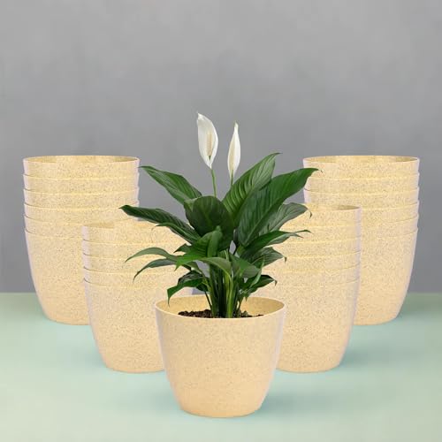 Kuber Industries Pack of 24 Flower Pot | Flower Pot for Living Room-Office | Flower Planters for Home-Office-Lawns & Garden D?cor | Flower Pots for Balcony | Marble Cool | 5 Inch | Beige