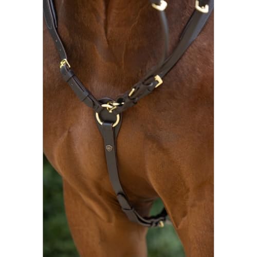 Collier avant en cuir Covalliero : confort anatomique et performance