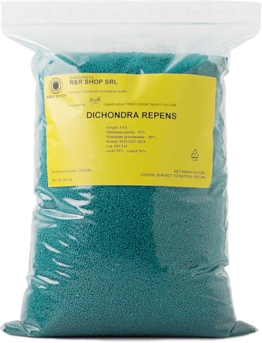 R&R SHOP - Semillas de Césped, Dichondra Repens, Origen USA, Resistentes y Decorativas (900gr - 90mq)