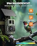 Assark Wildkamera mit Handyübertragungs-App, 48MP 30fps WIAN Solar Wildkamera mit Bewegungsmelder Nachtsicht, Wiederaufladbare 2000mAh Lithium-Batterie, 0,2S Auslöser, IP66 Wasserdicht