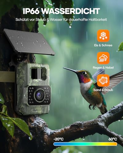Assark Wildkamera mit Handyübertragungs-App, 48MP 30fps WIAN Solar Wildkamera mit Bewegungsmelder Nachtsicht, Wiederaufladbare 2000mAh Lithium-Batterie, 0,2S Auslöser, IP66 Wasserdicht