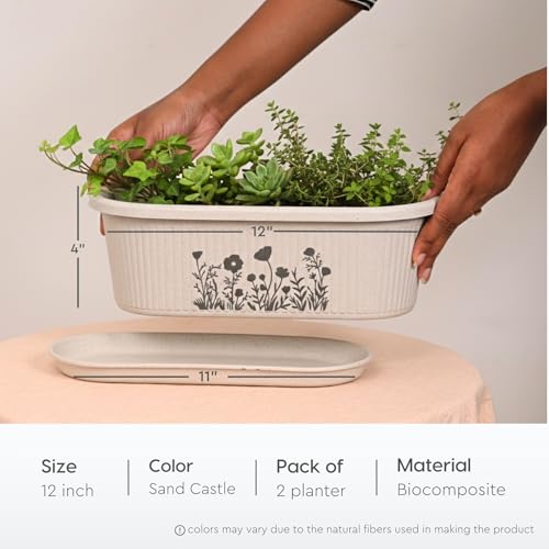 Image of Eha Earth-Friendly Printed Regalia Planters for Home Decor | 12 Inch, Pack of 2 with Growmix | Plant Gifts Made with Rice Husk Biocomposite | Flower Pot for Living Room| Sand Castle