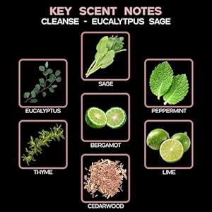 LOVSPA Cleanse Eucalyptus Sage Reed Diffuser Oil and Sticks Gift Set with Real Eucalyptus Leaves – Eucalyptus, Sage, Peppermint, Thyme, Bergamot and Lime Essential Oils LOVSPA Cleanse Eucalyptus Sage Reed Diffuser Oil and Sticks Gift Set with Real Eucalyptus Leaves–Eucalyptus Sage Peppermint Thyme Bergamot and Lime Essential Oils