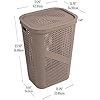 Mind Reader 60L Slim Laundry Hamper, Clothes Basket, Lid, Ventilated, Plastic, Set of 2, Tan