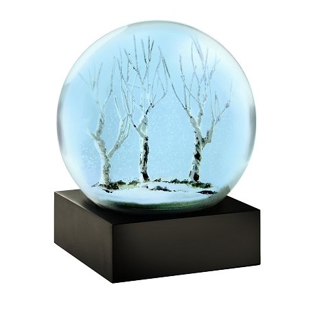 Winter Evening Snow Globe