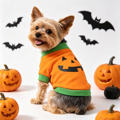 Disfraz para perro grande Pumpkin Halloween naranja miniatura 5