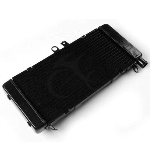 TERAM LOISIRS Radiatore compatibile per Honda CB 900 919 F Hornet 2002 2003 2004 2005 2006 2007/19010-MCZ-003