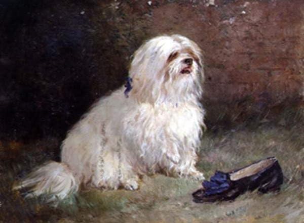 Lienzo decorativo para pared vintage de terrier maltés: elegancia artística en tu dormitorio