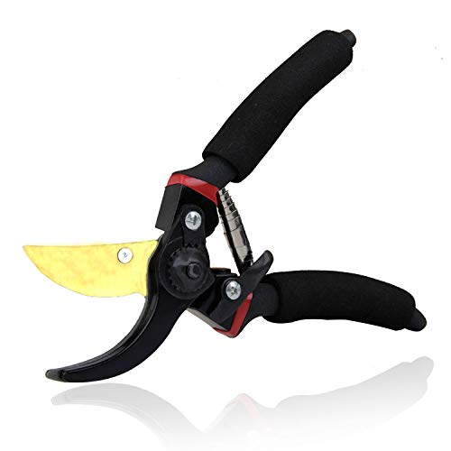 EONLION Pruning Shears, 8 Inch Professional Sharp Bypass Garden Shears, Hand Pruner, Tree Trimmers Secateurs, Clippers, High-Carbon Steel, Premium Titanium