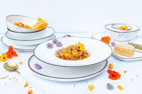 MÄSER Serie Pintar, hochwertiges Speise Geschirr-Set für 4 Personen, 16-teiliges Kombiservice mit heller Glasur, visuellen braunen Sprenkeln und feinem Rand im Vintage Handmade Look, Porzellan