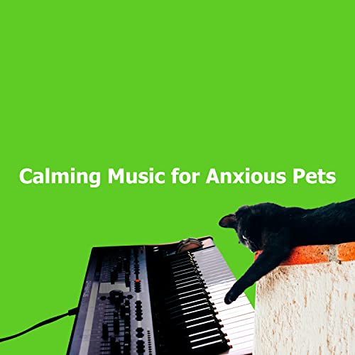 Play Calming Music for Anxious Pets by Calming Cat Music on Amazon Music