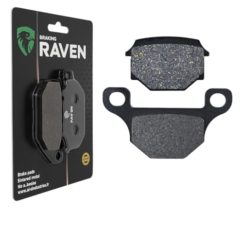 RAVEN Plaquettes de frein Arrière Compatible pour Rieju MRT 50 de 2009 à Nc
