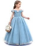 Girls Cinderella Princess Pageant Ball Gowns Kids Tulle Flower Girls Dresses Light Blue Size 4