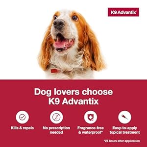 K9 advantix flea tick  mosquito prevention for dogs 4 10 lbs | flea drops for small dogs | apply monthly | 2 treatments   cucciolini doodles